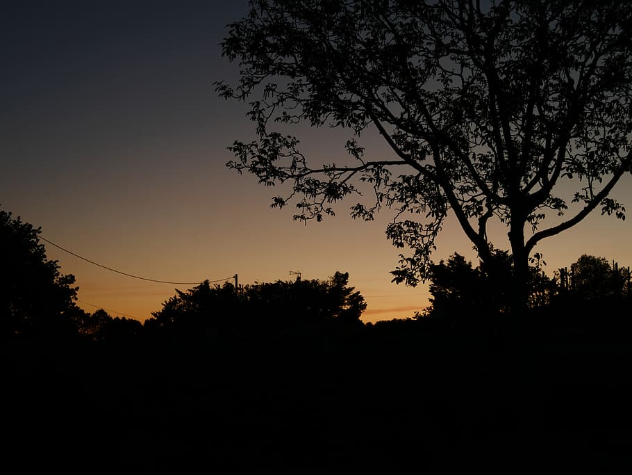 france, night scape, trees, silhouette, plant, sky, sunset HD wallpaper