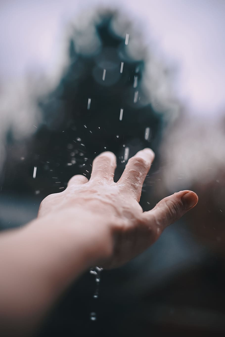 selective focus photography of person's hand with water, rain drop HD wallpaper
