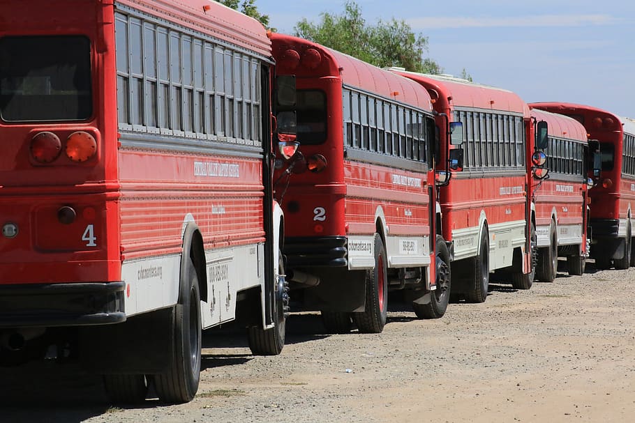 red, buses, mode of transportation, land vehicle, public transportation HD wallpaper