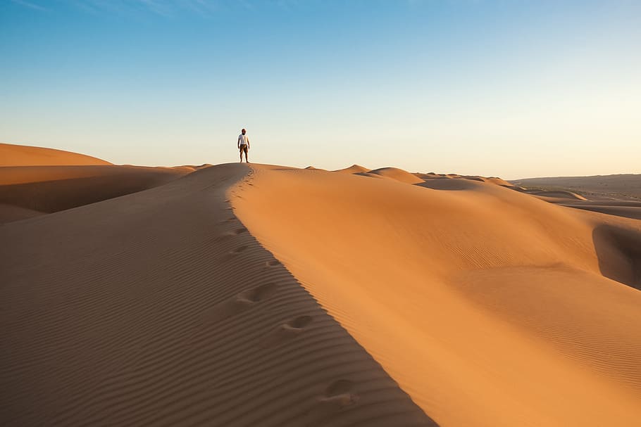 alone, lonely, desert, sand, wind, hot, warm, orange, sun, landscape HD wallpaper
