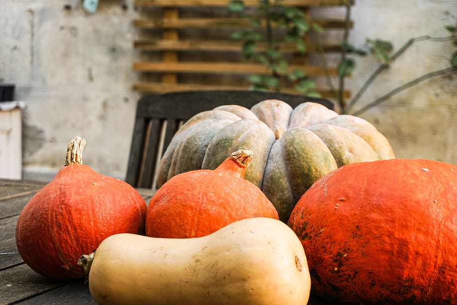 pumpkins and squash on table, produce, plant, flora, vegetable HD wallpaper