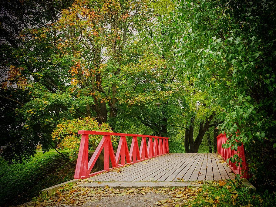 Pink and Brown Wooden Bridge, trees, connection, bridge - man made structure HD wallpaper