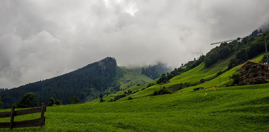 forrest, mountain, grass, green, foggy, sky, tree, switzerland HD wallpaper