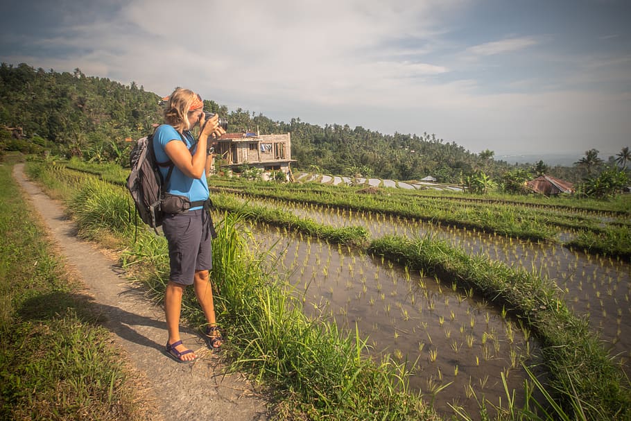 indonesia, bali, rice fields, excursion, explore, nature, wanderlust HD wallpaper