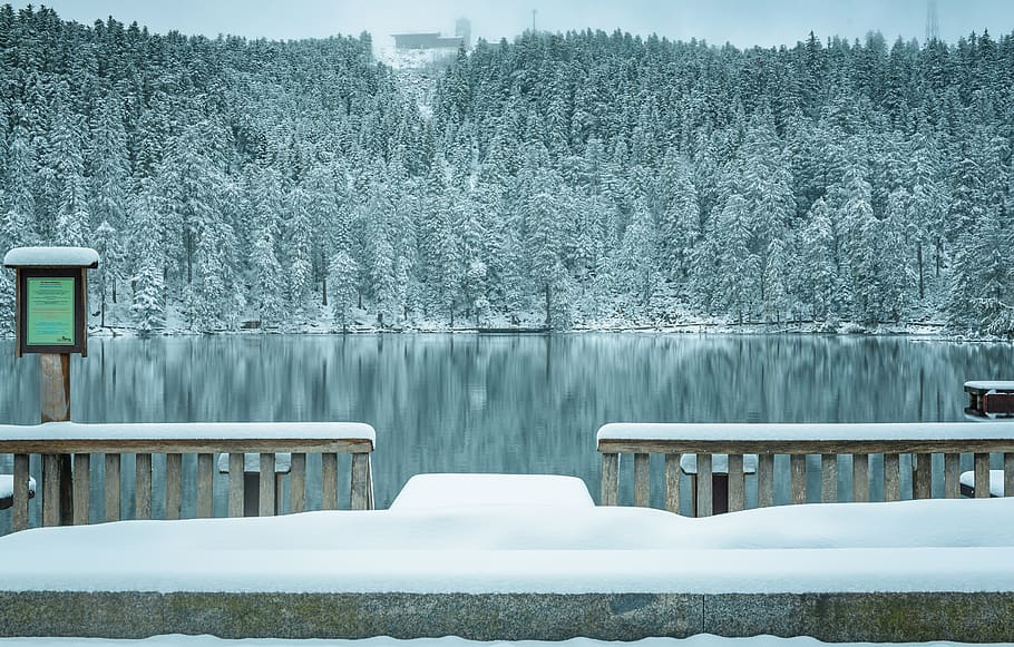 black forest, waldsee, winter, mirroring, jetty, water, lake HD wallpaper