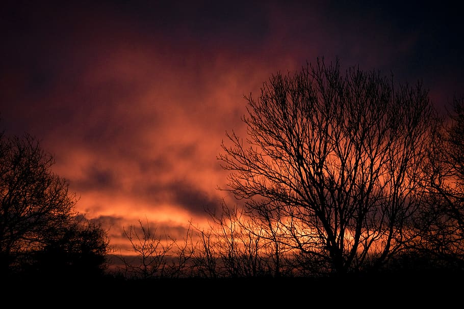 dawn, sky, landscape, clouds, tree, panorama, horizon, tomorrow HD wallpaper