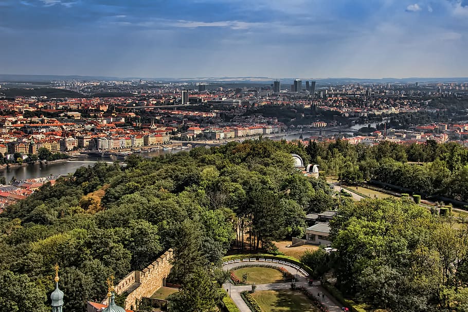 prague, czech, hradcany, view, castle, cathedral, vltava, bridge HD wallpaper