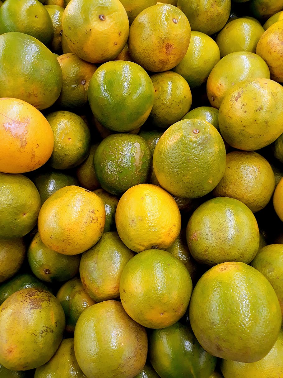 Oranges , abundance, citrus fruits, freshness, healthy, many HD wallpaper