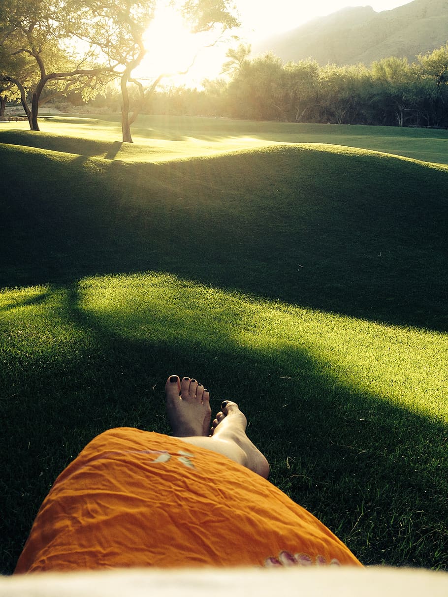 united states, tucson, plant, one person, grass, leisure activity HD wallpaper