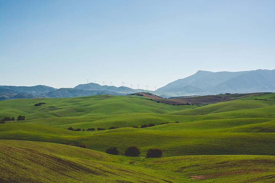 spain, málaga, grass, green, windmile, view, bush, mountain HD wallpaper