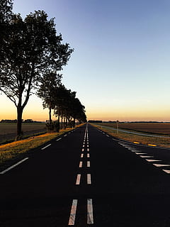 Road With Trees, asphalt, crossroad, distance, empty, golden sunset HD wallpaper
