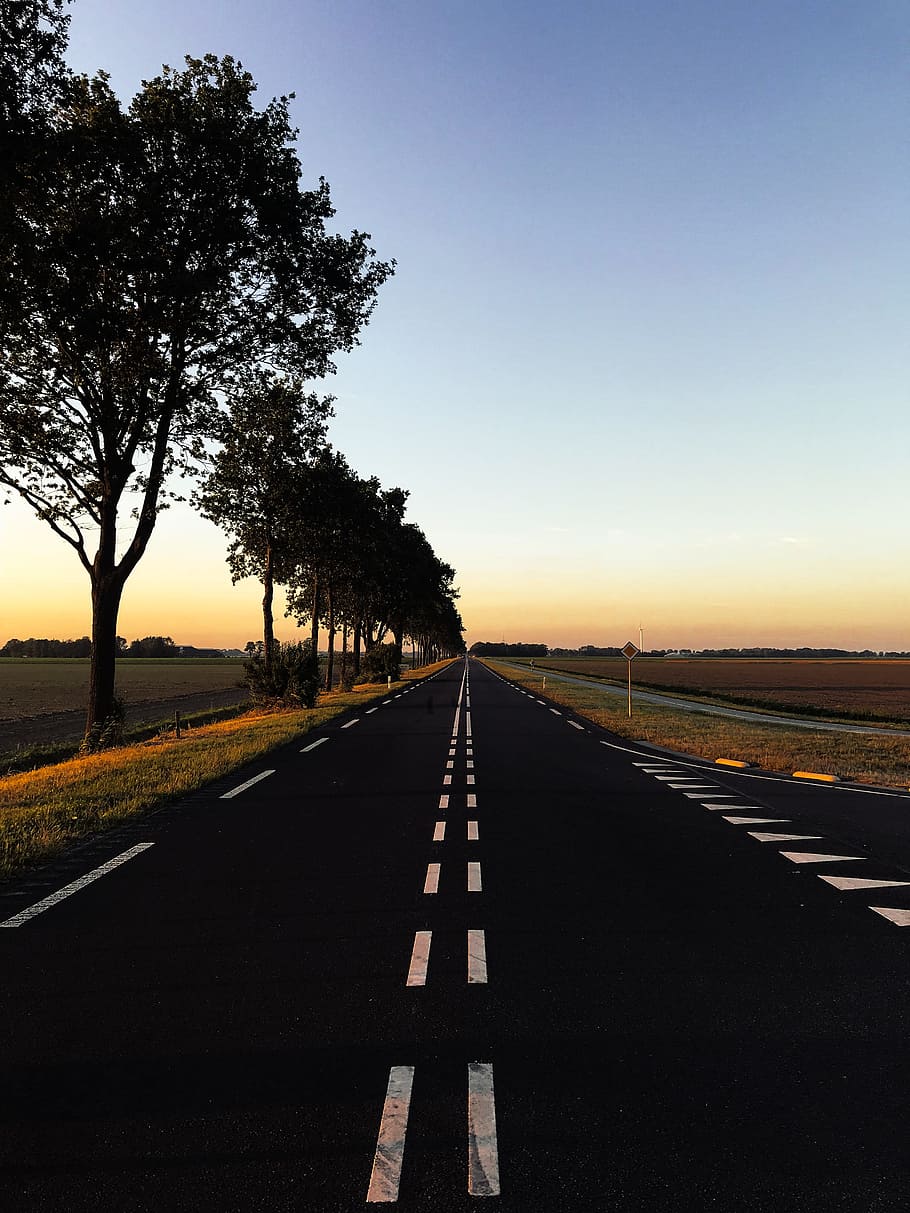 Road With Trees, asphalt, crossroad, distance, empty, golden sunset HD wallpaper
