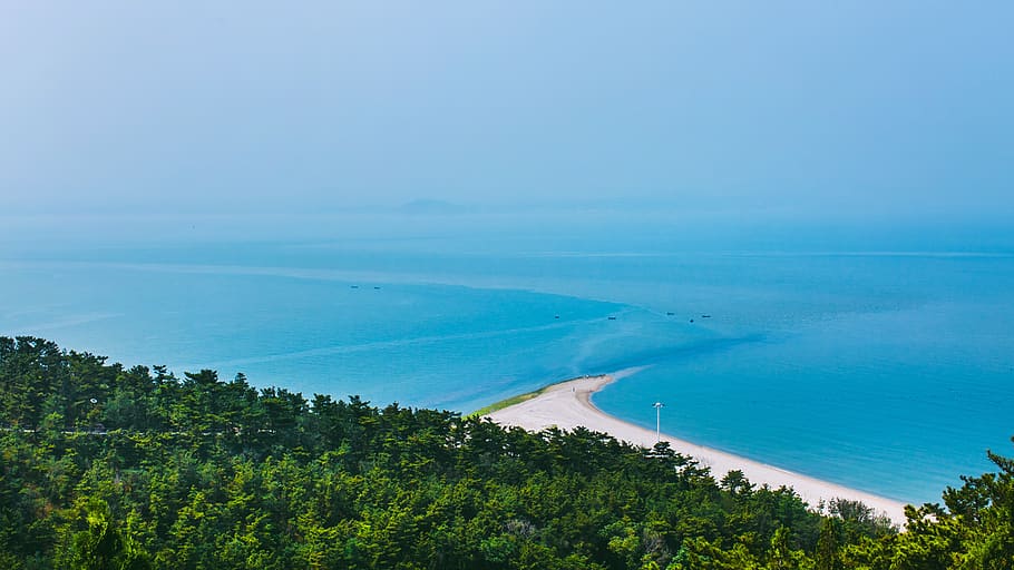 sea, dividing line, tree, plant, scenics - nature, water, beauty in nature HD wallpaper