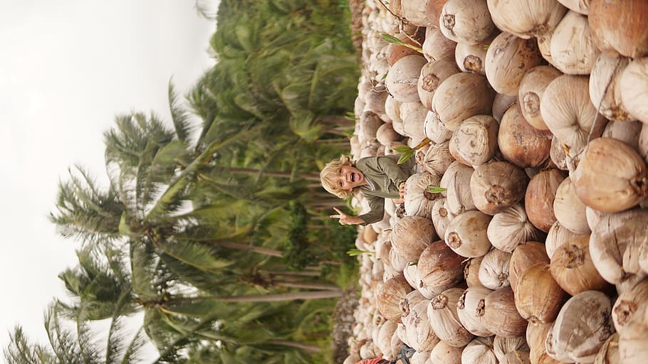 girl sitting on coconut shell, plant, food, fruit, vegetable