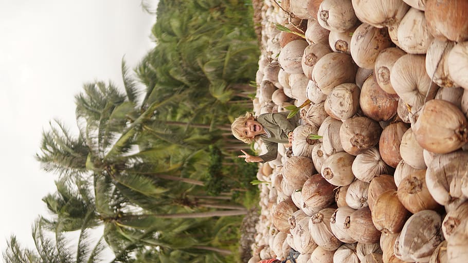 girl sitting on coconut shell, plant, food, fruit, vegetable HD wallpaper
