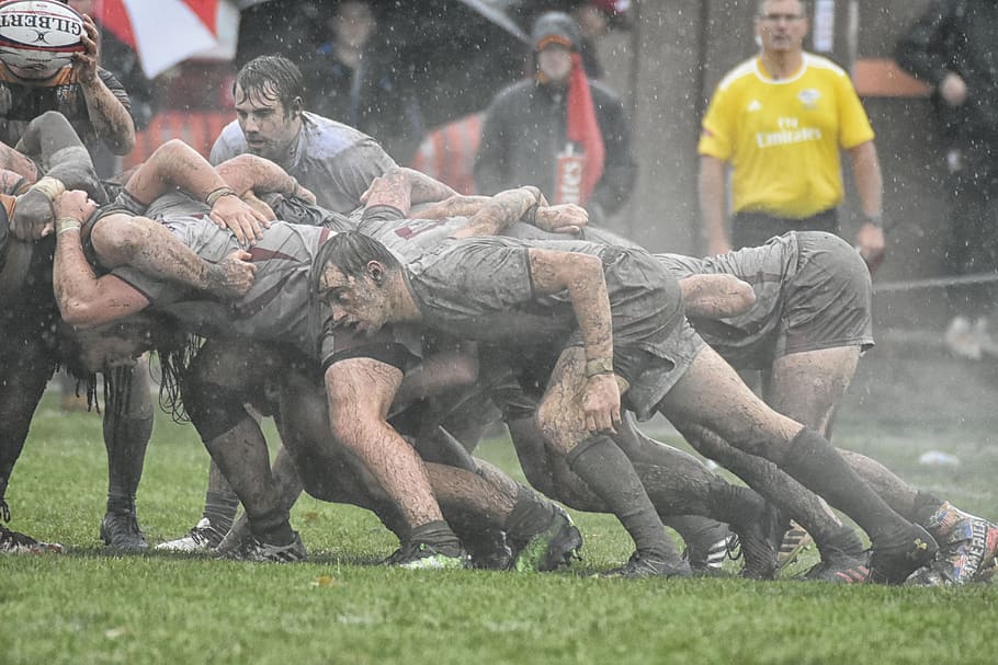 rugby, mud, college, scrum, group of people, day, mammal, competition, HD wallpaper