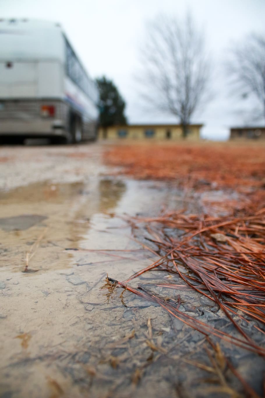 puddle, van, transportation, vehicle, ground, bus, grass, truck HD wallpaper