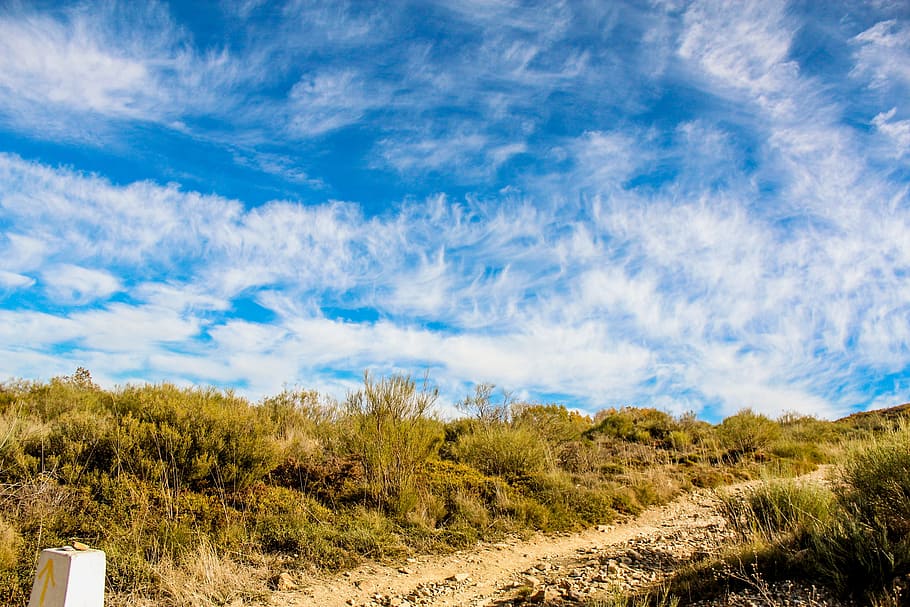 Brown Dried Grass, blue, blue sky, clouds, countryside, daylight HD wallpaper