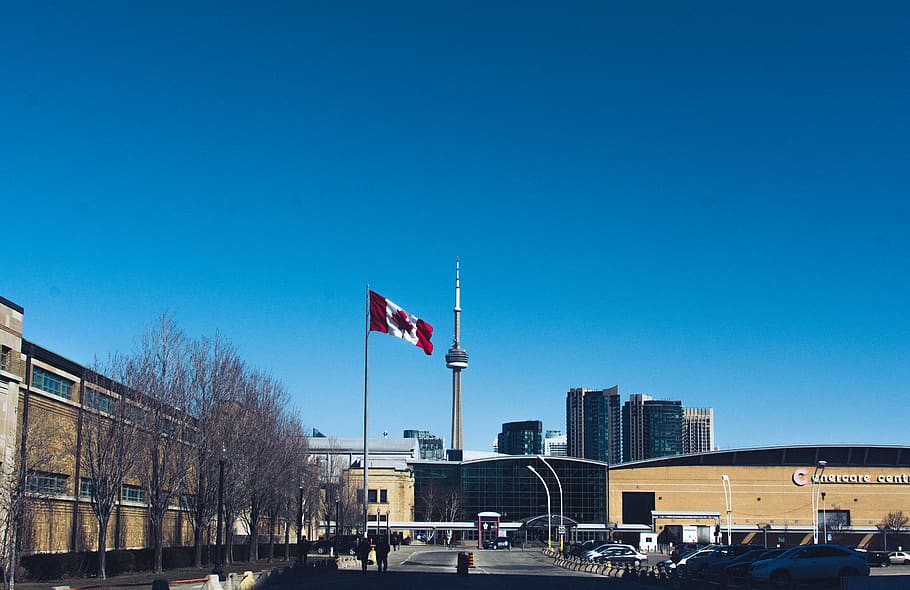 canada, toronto, trees, sidewalk, structure, concrete, sky HD wallpaper