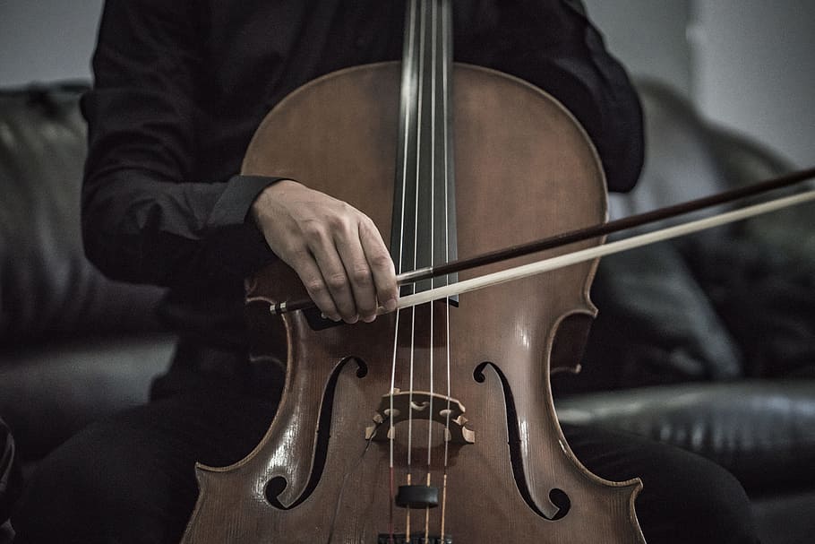 person wearing black dress shirt playing brown cello string instrument, HD wallpaper