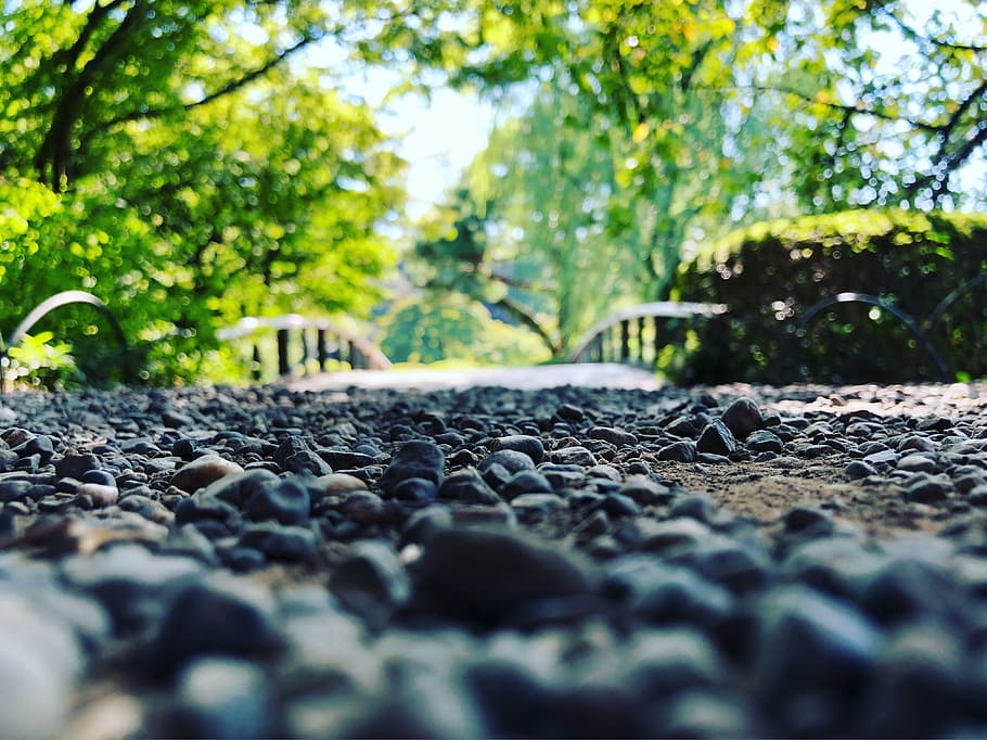 Selective Focus Photo of Stone Under Green Trees, beautiful, color HD wallpaper