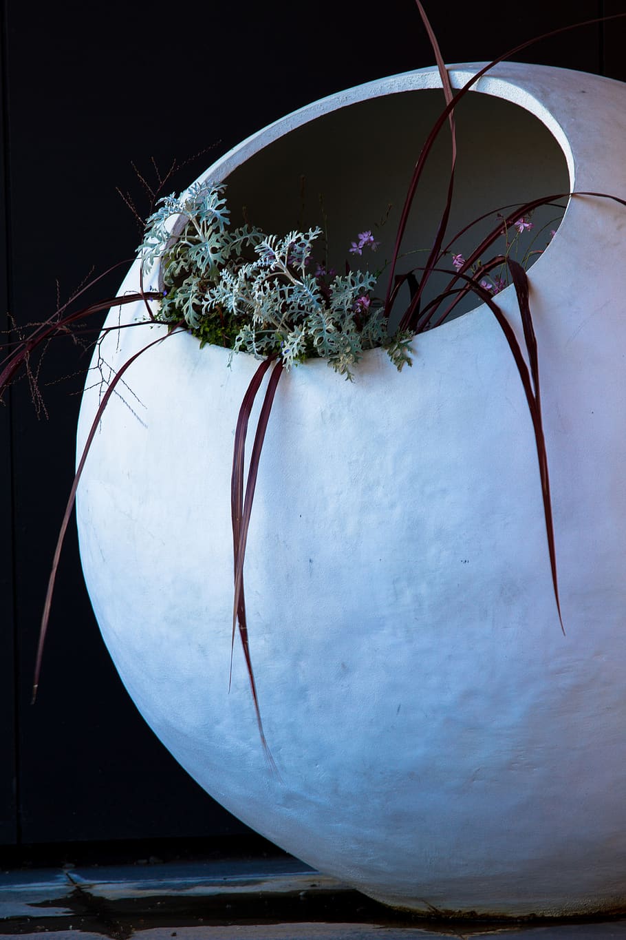 white vase and green leafed plan, plant, no people, indoors, nature HD wallpaper