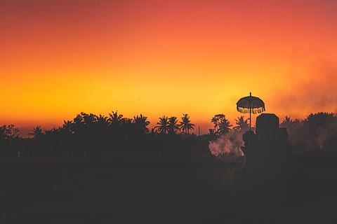 Silhouette of Palm Trees at Sunset, background, backlit, beautiful HD wallpaper