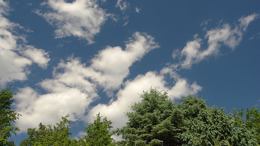 weather, clouds, blue sky, trees, nature, atmospere, desktop background HD wallpaper