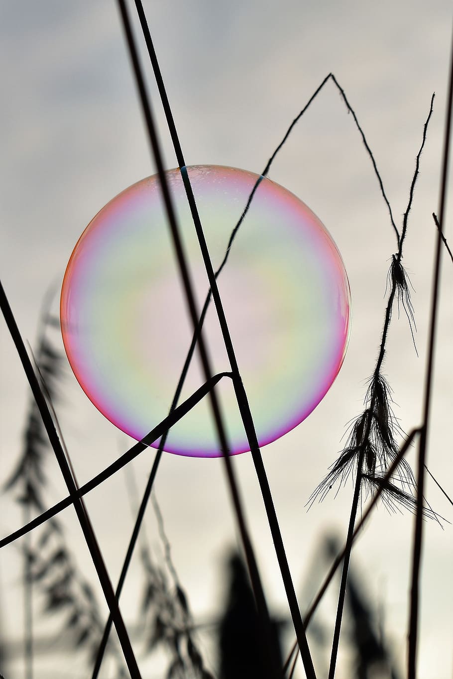 soap bubble, backlighting, mood, shimmer, rainbow colors, sunrise HD wallpaper
