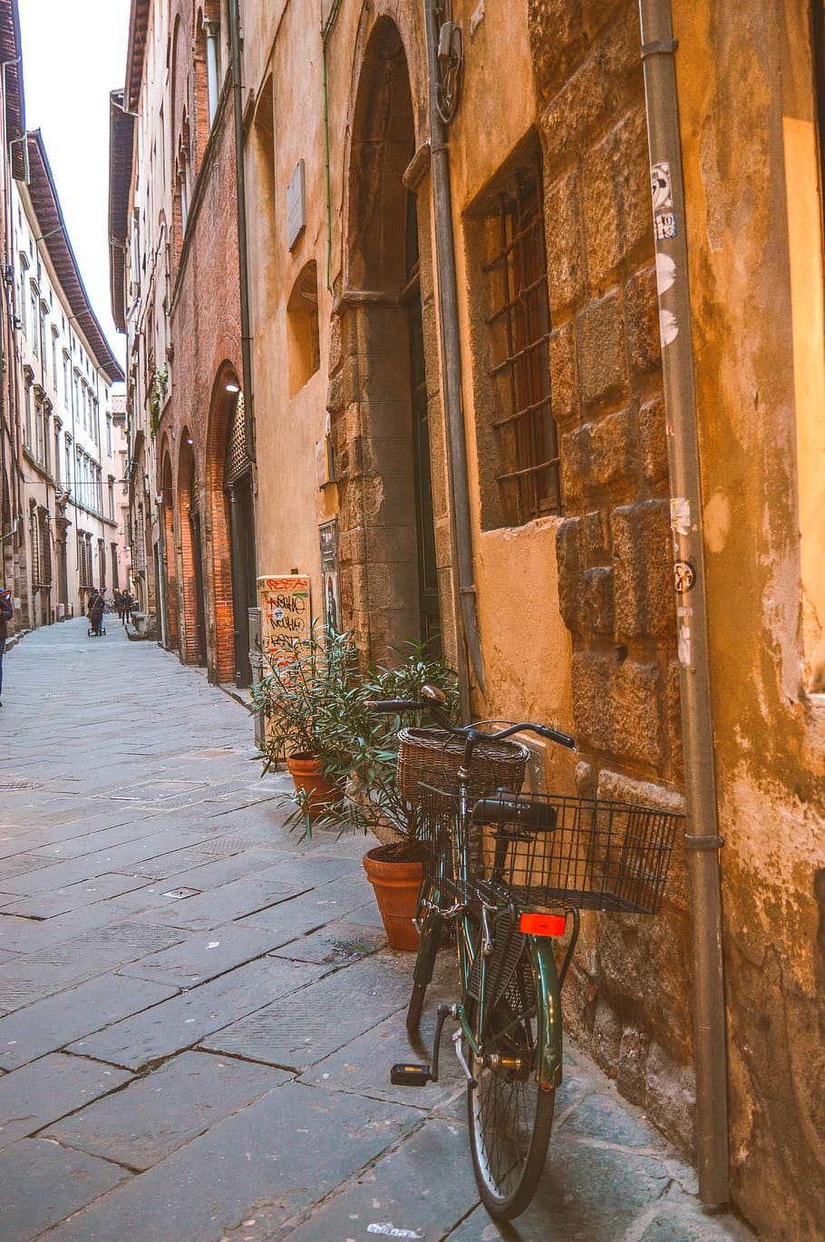 italy, lucca, architecture, building exterior, built structure HD wallpaper
