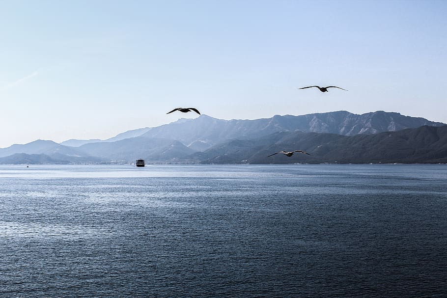 greece, thasos, ship, sky, blue, sea, birds, mountains, bluesky HD wallpaper