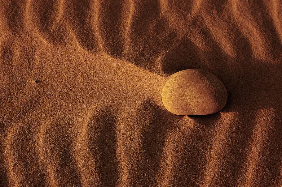 brown stone on sand, land, no people, nature, close-up, full frame HD wallpaper