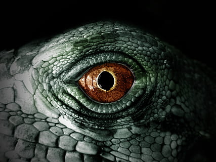 Reptile Skin Scales Iguana Green Macro Poster by KingFox