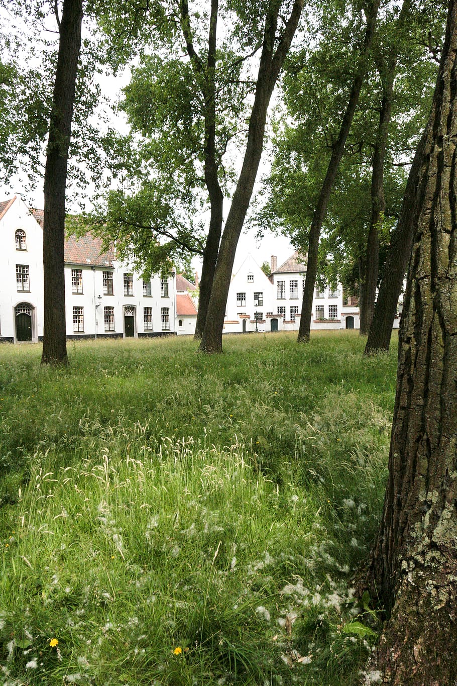 belgium, bruges, window, brick, white, houses, roof, grass HD wallpaper