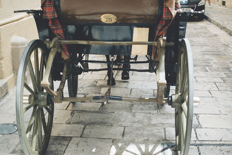 malta, horse, cart, transportation, horse cart, no people, day HD wallpaper