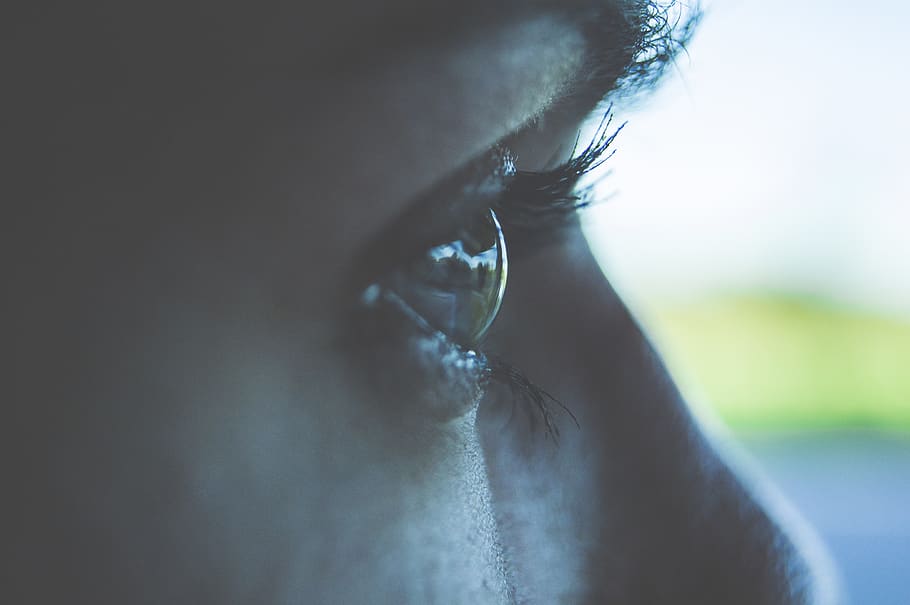 eye, reflection, green, happy, spring, eyelash, glassy, macro HD wallpaper