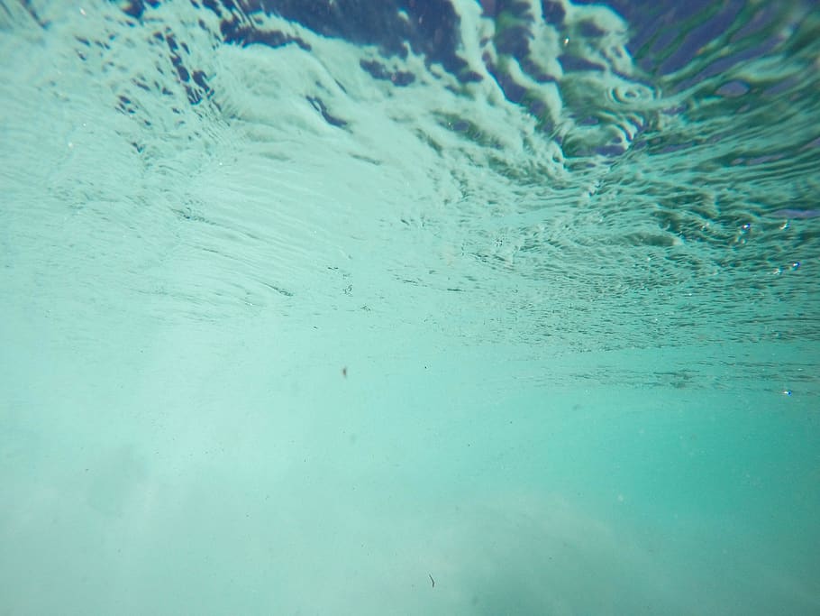 Submerged in water., nature, blue, reflection, surface, underwater HD wallpaper