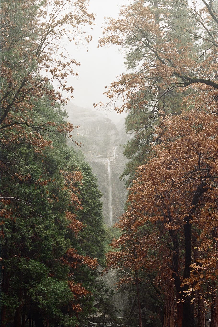 waterfall in forest, nature, weather, outdoors, plant, tree, fog HD wallpaper