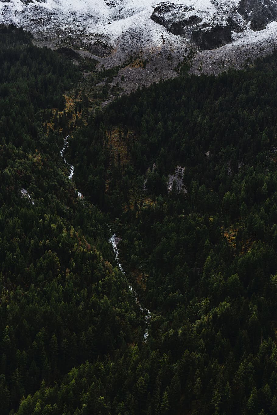 river in between pine forests, mountain, from above, drone, drone view