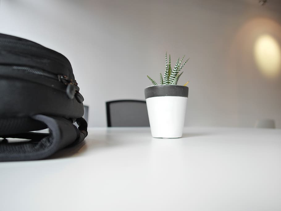 canada, toronto, bag, backpack, plant, minimal, chair, desk HD wallpaper