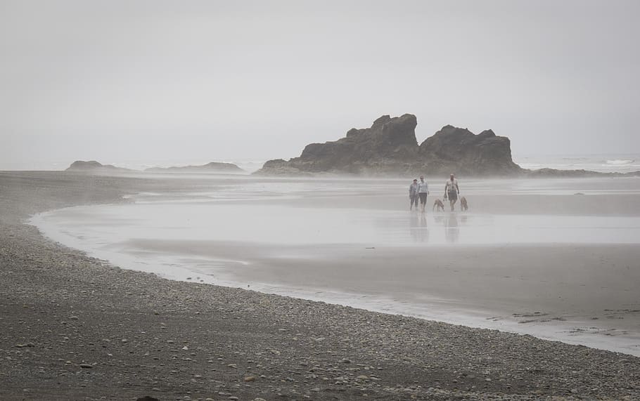 united states, ruby beach, sky, ocean, rocks, fog, dogs, water HD wallpaper