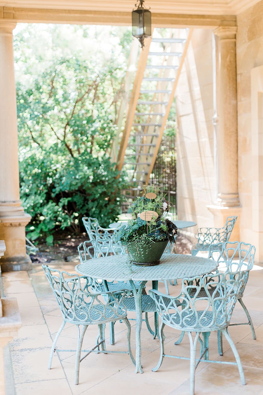 green flowers on table, chair, seat, plant, no people, indoors HD wallpaper