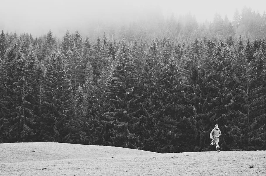 france, megève, domaine du mont d'arbois, snow, mountain, black and white, HD wallpaper
