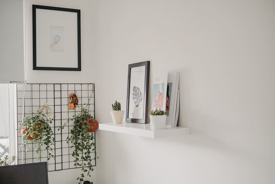 frame, picture frame, plant, indoors, wall - building feature HD wallpaper