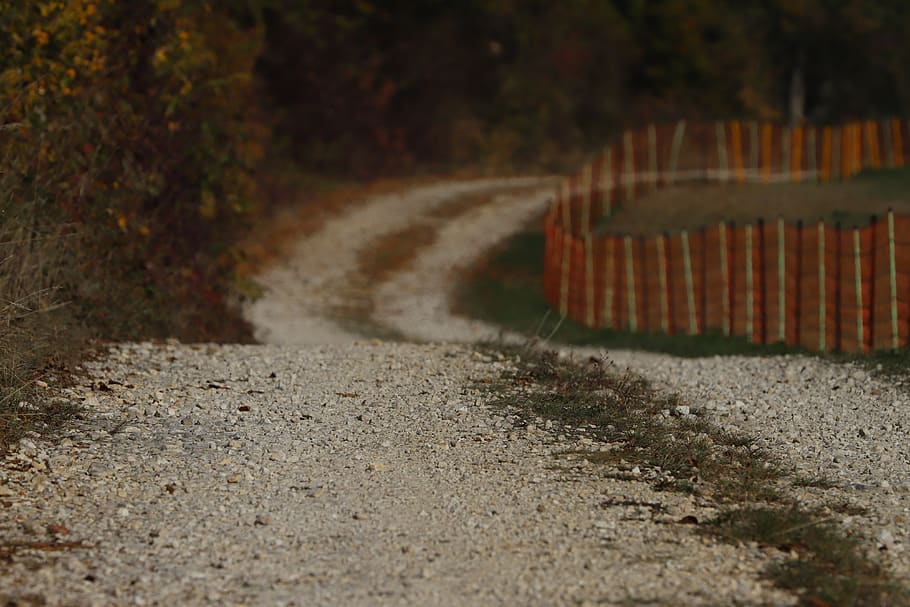away, path, nature, landscape, lane, road, direction, the way forward HD wallpaper