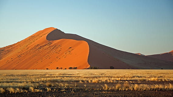 desert, sand, red, namibia, red sand, landscape, dry, nature HD wallpaper