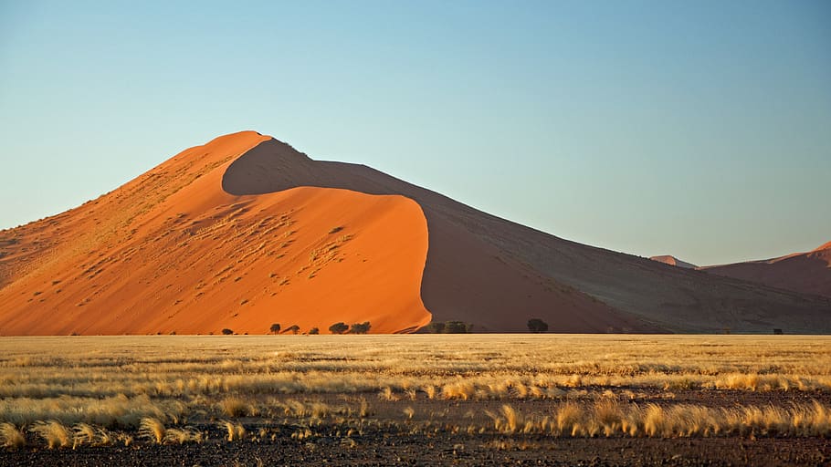 desert, sand, red, namibia, red sand, landscape, dry, nature HD wallpaper