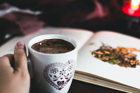 germany, cologne, fall, autumn, chocolate, hot drink, cocoa HD wallpaper