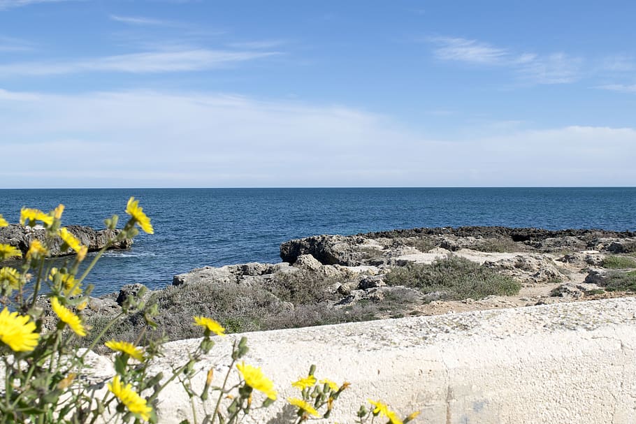 italy, savelletri, sea, water, horizon over water, beauty in nature HD wallpaper