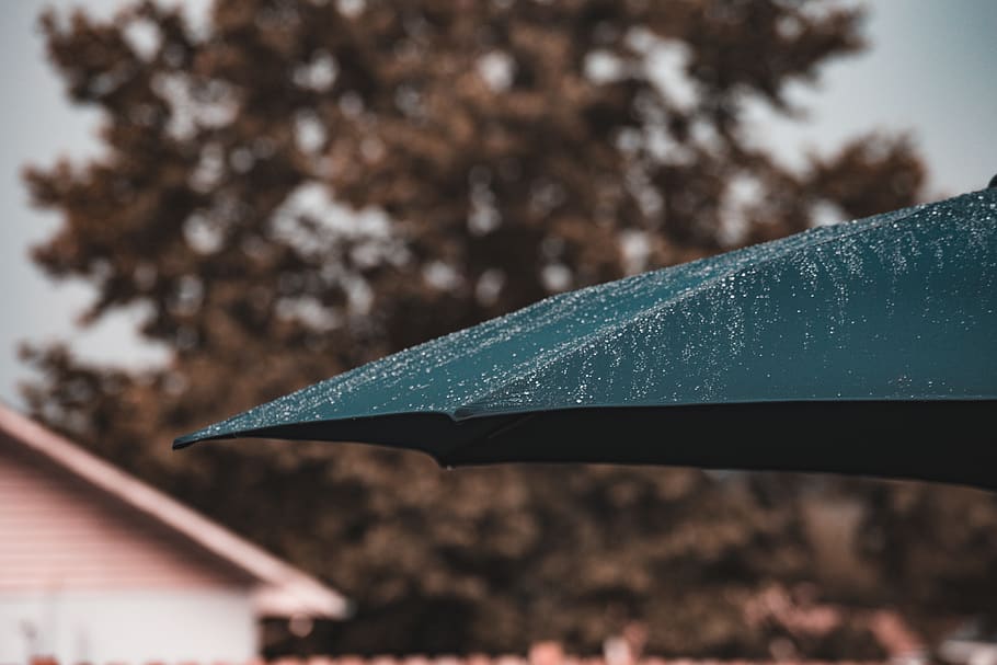 umberella, rain, water, trees, summer, fourth of july, focus on foreground HD wallpaper
